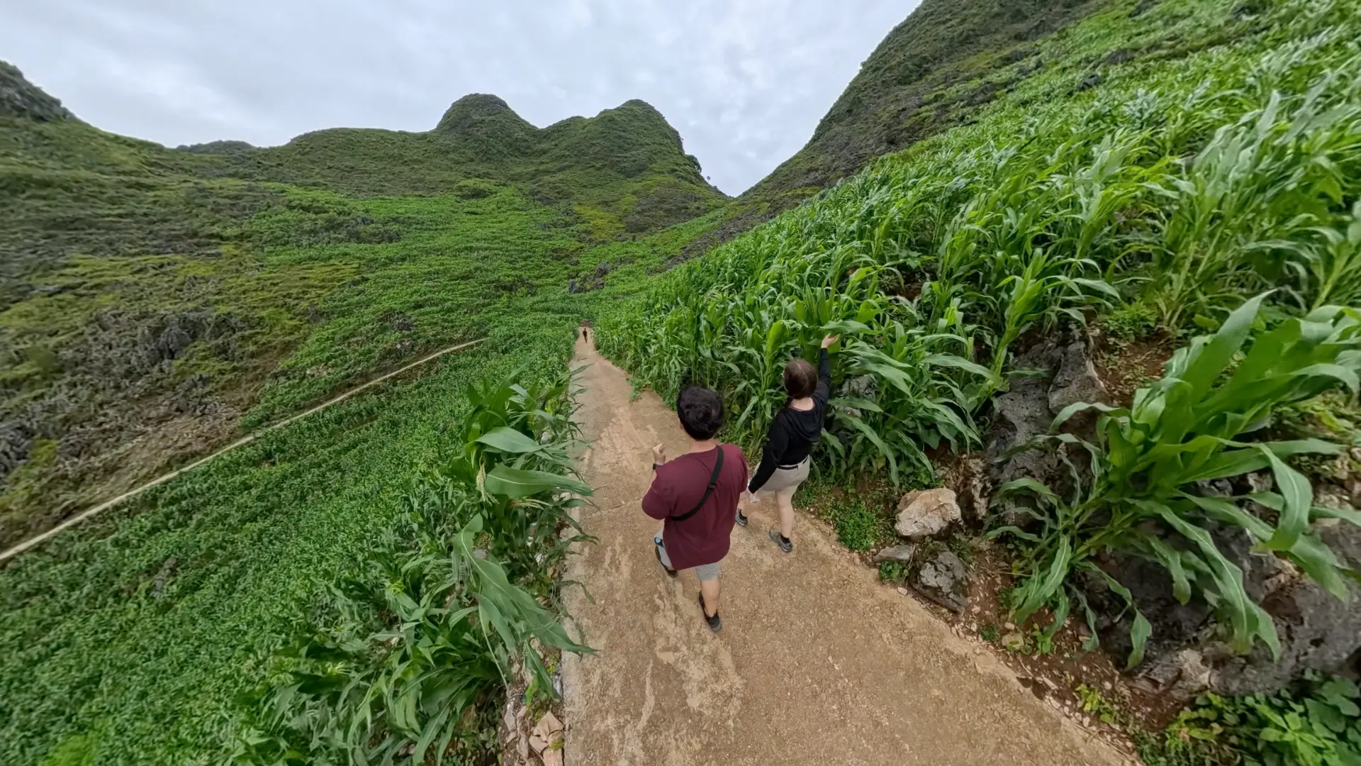 Two travelers walking a narrow concrete path through tall green cornfields in a Ha Giang mountain valley, June 2026